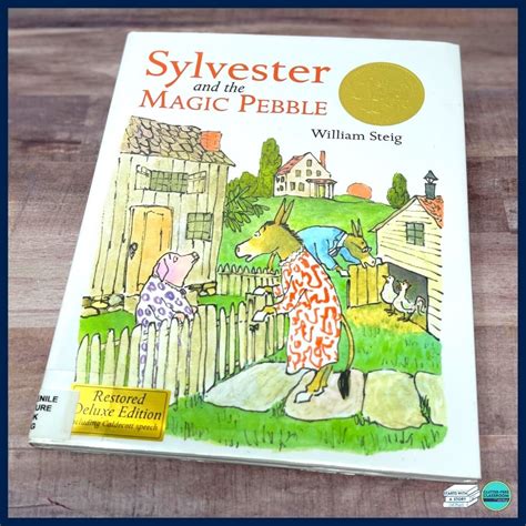 How Silvedter and the Magic Pebble Taught us the Importance of Choices.